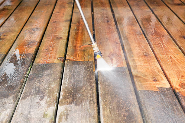 Best Solar Panel Cleaning  in Walkerton, IN